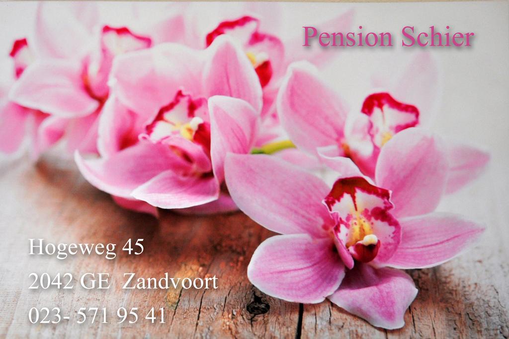 Pension Schier Zandvoort Ngoại thất bức ảnh