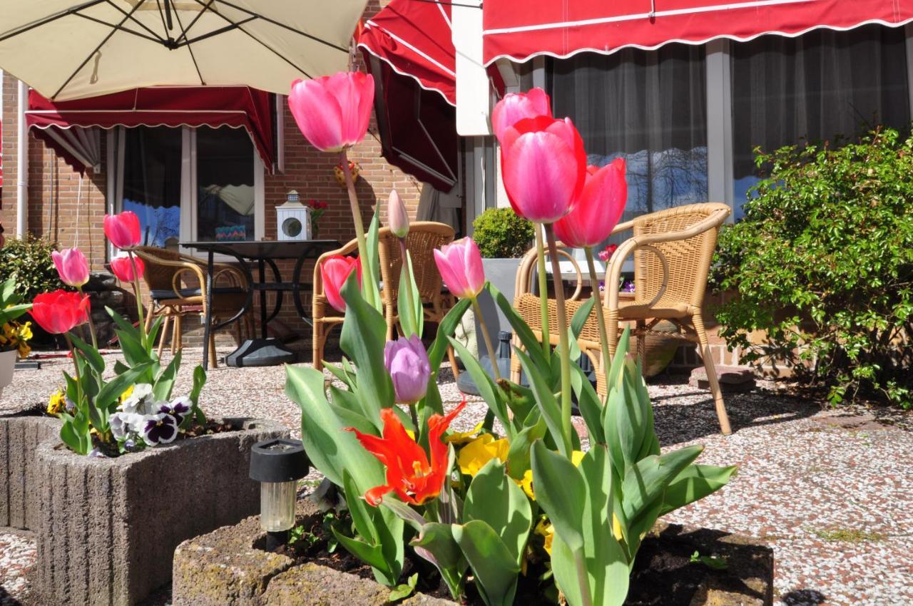 Pension Schier Zandvoort Ngoại thất bức ảnh